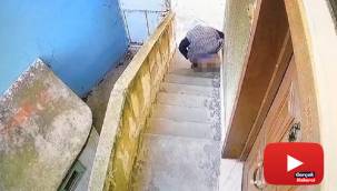Kedi köpek zannetti, insan çıktı