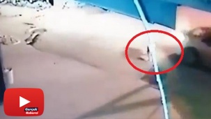 Köpeği ezdi, arkasına bakmadan gitti