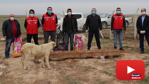 Köpekleriyle köyünden kovulan engelli gence Vali Aydoğdu sahip çıktı