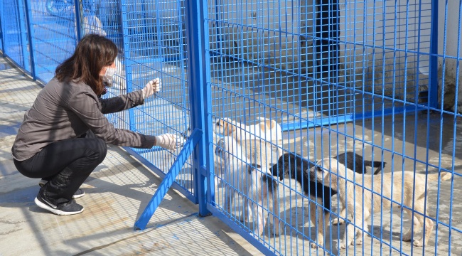 KUŞADASI BELEDİYESİ TERİ’YE YENİDEN HAYAT VERDİ