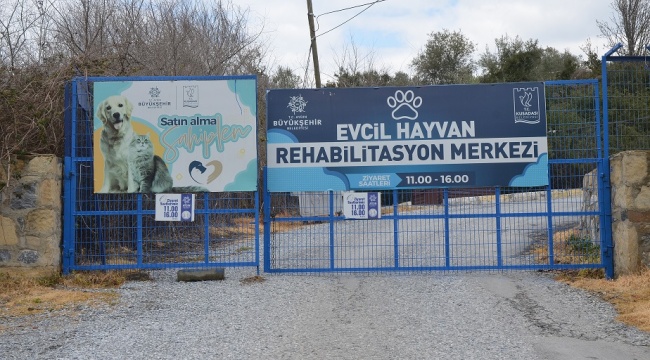 KUŞADASI’NIN SOKAK HAYVANLARI EMİN ELLERDE