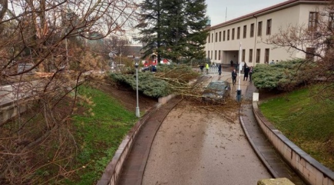 Meclis bahçesine yıldırım düştü