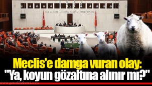 Meclis'e damga vuran olay: