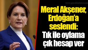 Meral Akşener, Erdoğan'a seslendi: Tık ile oylama çık hesap ver