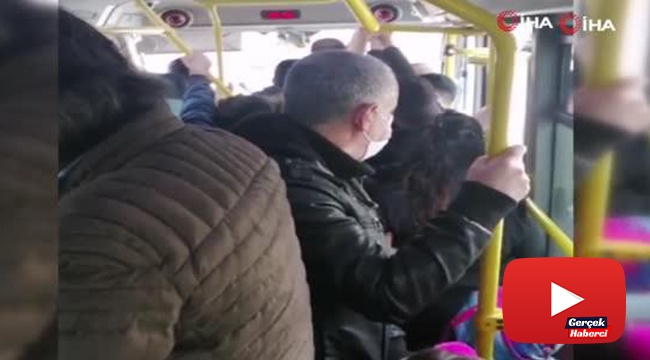 Minibüste balık istifi yolculuk