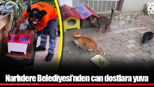 Narlıdere Belediyesi’nden can dostlara yuva