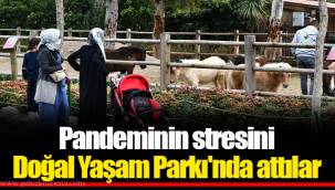 Pandeminin stresini Doğal Yaşam Parkı'nda attılar