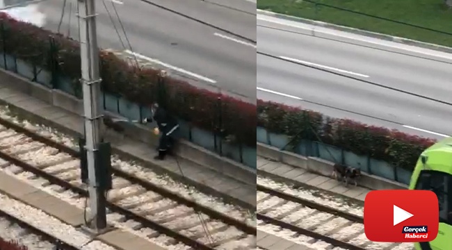 Raylara giren davetsiz misafir binlerce insanın yolculuğunu aksattı