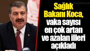 Sağlık Bakanı Koca, vaka sayısı en çok artan ve azalan illeri açıkladı
