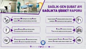 SAĞLIK-SEN ŞUBAT AYI SAĞLIKTA ŞİDDET RAPORUNU AÇIKLADI