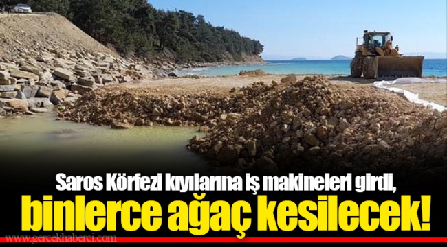 Saros Körfezi kıyılarına iş makineleri girdi, binlerce ağaç kesilecek!