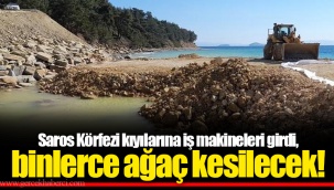 Saros Körfezi kıyılarına iş makineleri girdi, binlerce ağaç kesilecek!