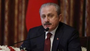 Şentop'tan Gergerlioğlu yorumu: Namaz ve abdest tartışmaları FETÖ'cü yöntem