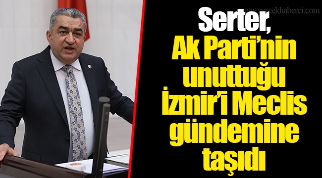 Serter,  Ak Parti’nin unuttuğu İzmir’i Meclis gündemine taşıdı