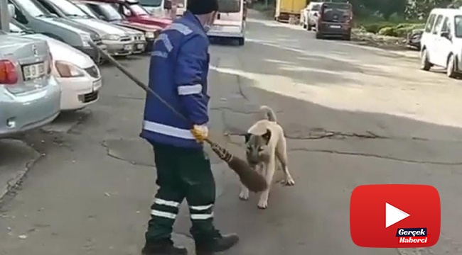 Süpürgesini çalan köpeğe "Bu benim üzerime zimmetlidir" diye seslendi