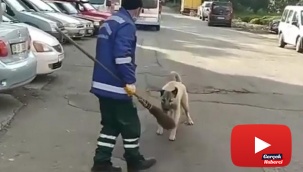 Süpürgesini çalan köpeğe