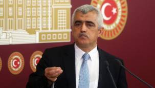 Yargıtay'ın hapis cezasını onadığı HDP'li Gergerlioğlu, AYM'ye başvurdu