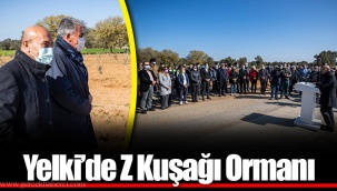 Yelki’de Z Kuşağı Ormanı