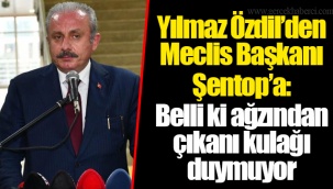 Yılmaz Özdil’den Meclis Başkanı Şentop’a: Belli ki ağzından çıkanı kulağı duymuyor