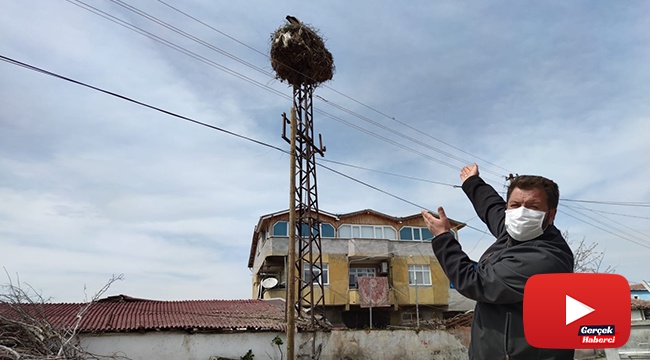 300 yıldır geliyorlar, geldiklerinde ekim dikim başlıyor