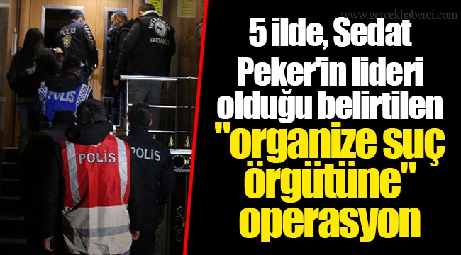 5 ilde, Sedat Peker'in lideri olduğu belirtilen "organize suç örgütüne" operasyon