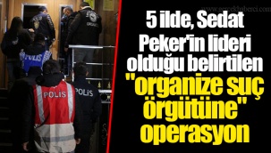 5 ilde, Sedat Peker'in lideri olduğu belirtilen