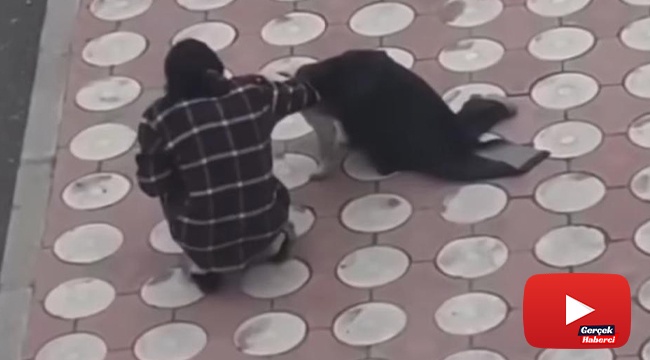 Batman’da üşüyen köpeğin üzerine montunu örttü