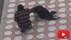 Batman’da üşüyen köpeğin üzerine montunu örttü
