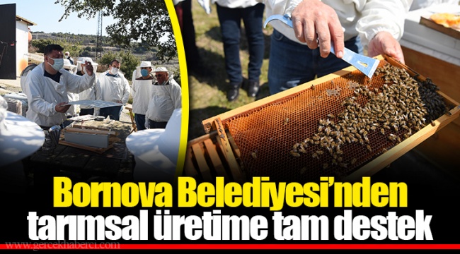 Bornova Belediyesi’nden tarımsal üretime tam destek