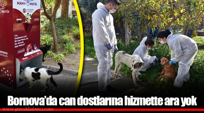 Bornova’da can dostlarına hizmette ara yok