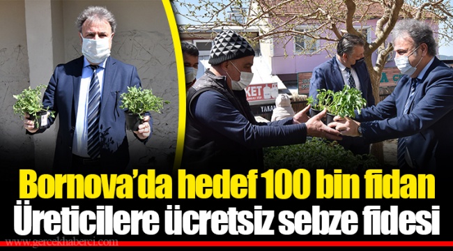 Bornova’da hedef 100 bin fidan