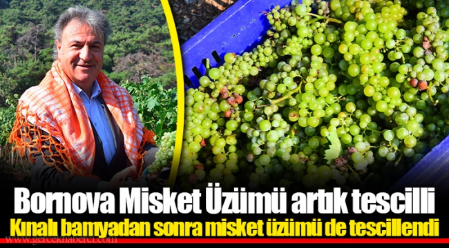 Bornova Misket Üzümü artık tescilli