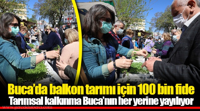 Buca’da balkon tarımı için 100 bin fide