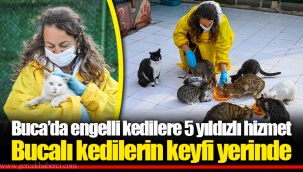 Buca’da engelli kedilere 5 yıldızlı hizmet