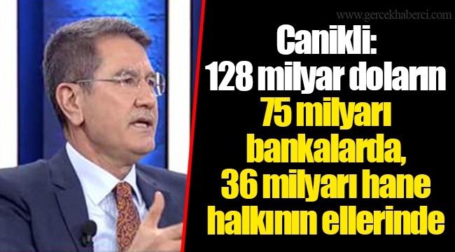 Canikli: 128 milyar doların 75 milyarı bankalarda, 36 milyarı hane halkının ellerinde