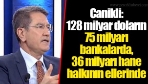 Canikli: 128 milyar doların 75 milyarı bankalarda, 36 milyarı hane halkının ellerinde