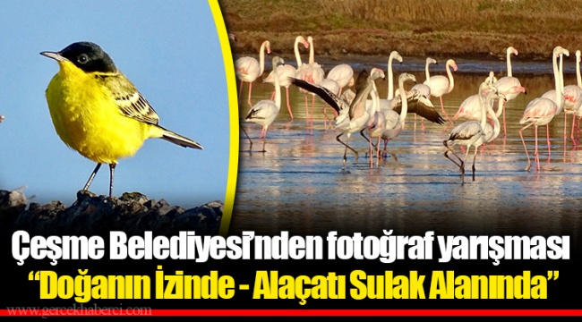 Çeşme Belediyesi’nden fotoğraf yarışması
