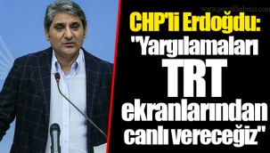 CHP'li Erdoğdu: