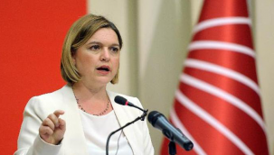 CHP'li Selin Sayek Böke, koronavirüse yakalandı