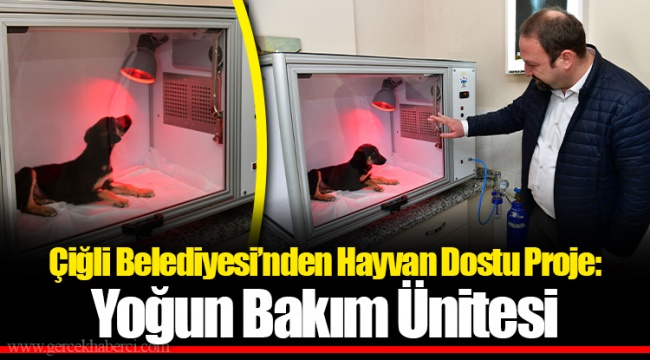 Çiğli Belediyesi’nden Hayvan Dostu Proje: Yoğun Bakım Ünitesi