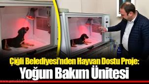 Çiğli Belediyesi’nden Hayvan Dostu Proje: Yoğun Bakım Ünitesi