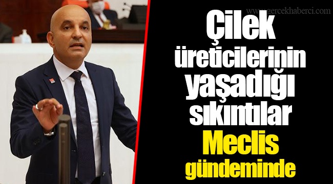 Çilek üreticilerinin yaşadığı sıkıntılar Meclis gündeminde