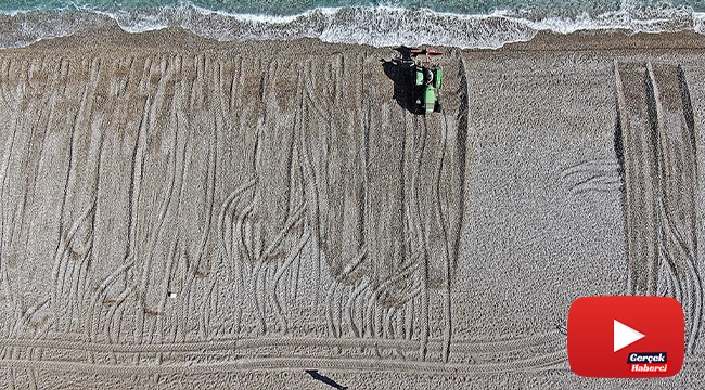 Dünyaca ünlü sahil traktörlerle tarla gibi sürülüp sezona hazırlanıyor
