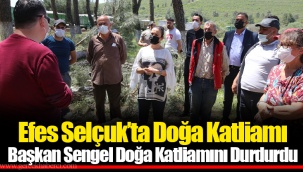 Efes Selçuk’ta Doğa Katliamı