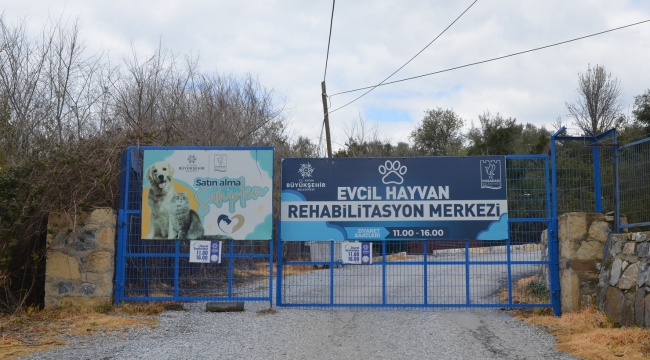 "EVCİL HAYVAN REHABİLİTASYON MERKEZİMİZ 10 GÜN İÇİNDE YENİDEN ZİYARETE AÇILACAK"