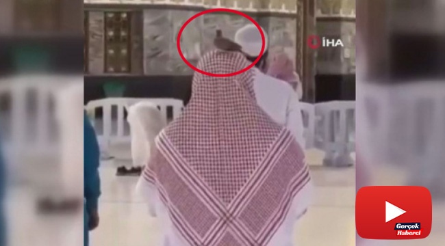 Kabe&#039;de namaz kılan kişinin başından ayrılmayan güvercin herkesi şaşırttı