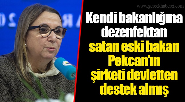 Kendi bakanlığına dezenfektan satan eski bakan Pekcan'ın şirketi devletten destek almış
