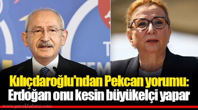 Kılıçdaroğlu&#039;ndan Pekcan yorumu: Erdoğan onu kesin büyükelçi yapar