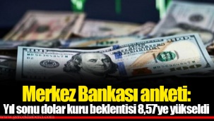 Merkez Bankası anketi: Yıl sonu dolar kuru beklentisi 8,57'ye yükseldi