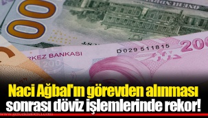 Naci Ağbal'ın görevden alınması sonrası döviz işlemlerinde rekor!